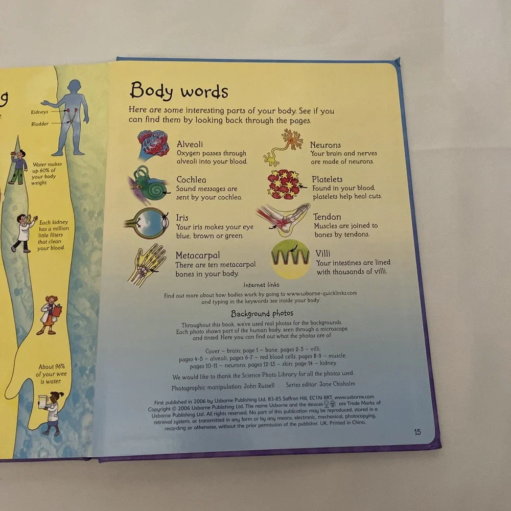 See Inside Your Body Large Board book With Educational‎ Information And Flaps